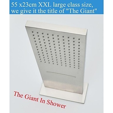 Wall Mounted Brushed Waterfall And Rain Shower Head N2397