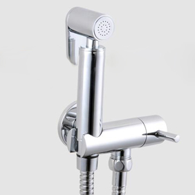 Contemporary Solid Brass Bidet Faucet Chrome Finish DS002 - Click Image to Close